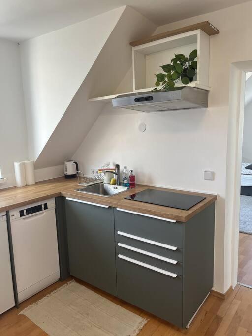 Cozy City Center Apartment Graz Ngoại thất bức ảnh